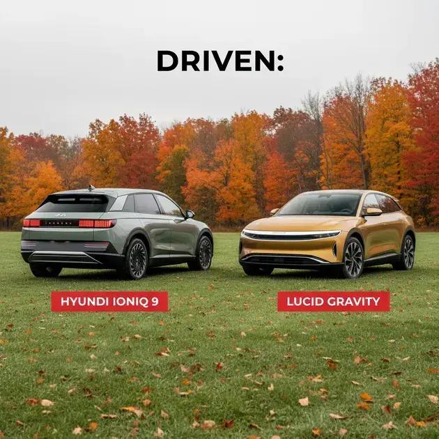 A Beginner's Guide to Sustainable Gardening