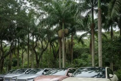 Boom dos carros elétricos em SP: frota cresce mais de 1.200% em 6 anos