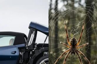 Nomes de carros assustadores: 6 modelos para o clima do Halloween