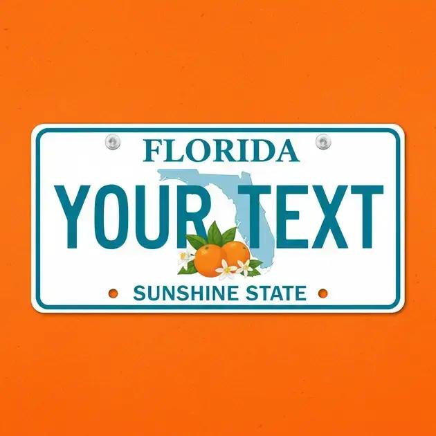 Ocultador de placa: o que é e por que essa 'brincadeira' pode dar cadeia?